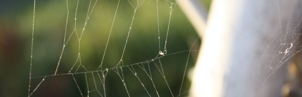 Young Man In The City